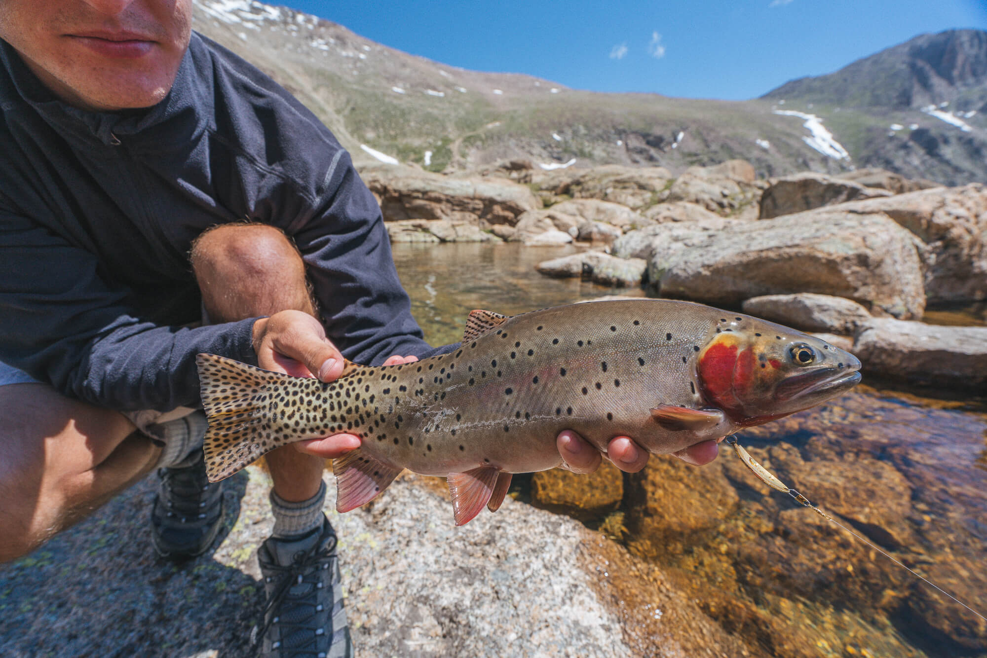 Backpacking Rocky Mountain National Park for Greenback Cutthroat Trout ... - Rmnp Backpacking 18