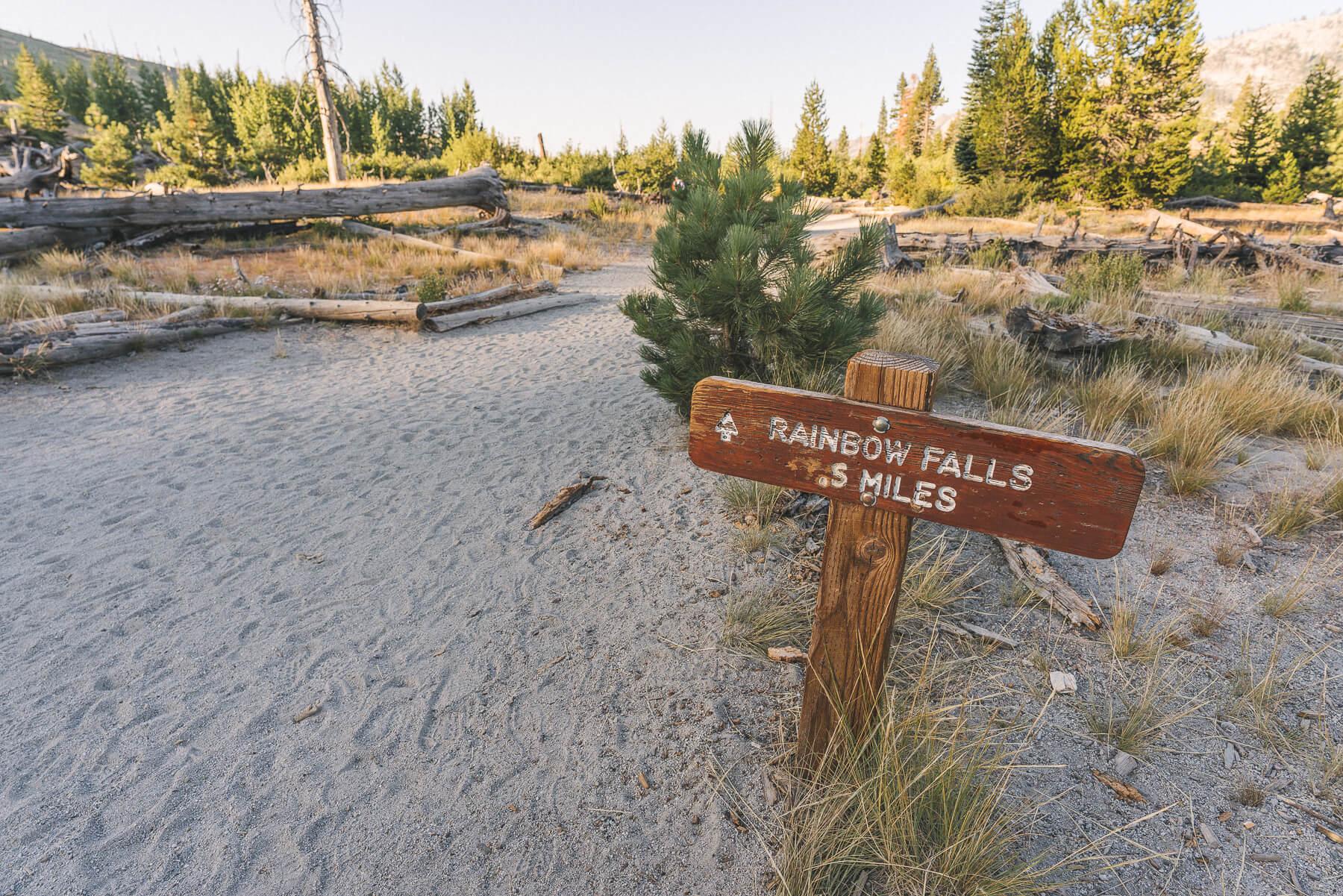 This trail is great bang for your buck.