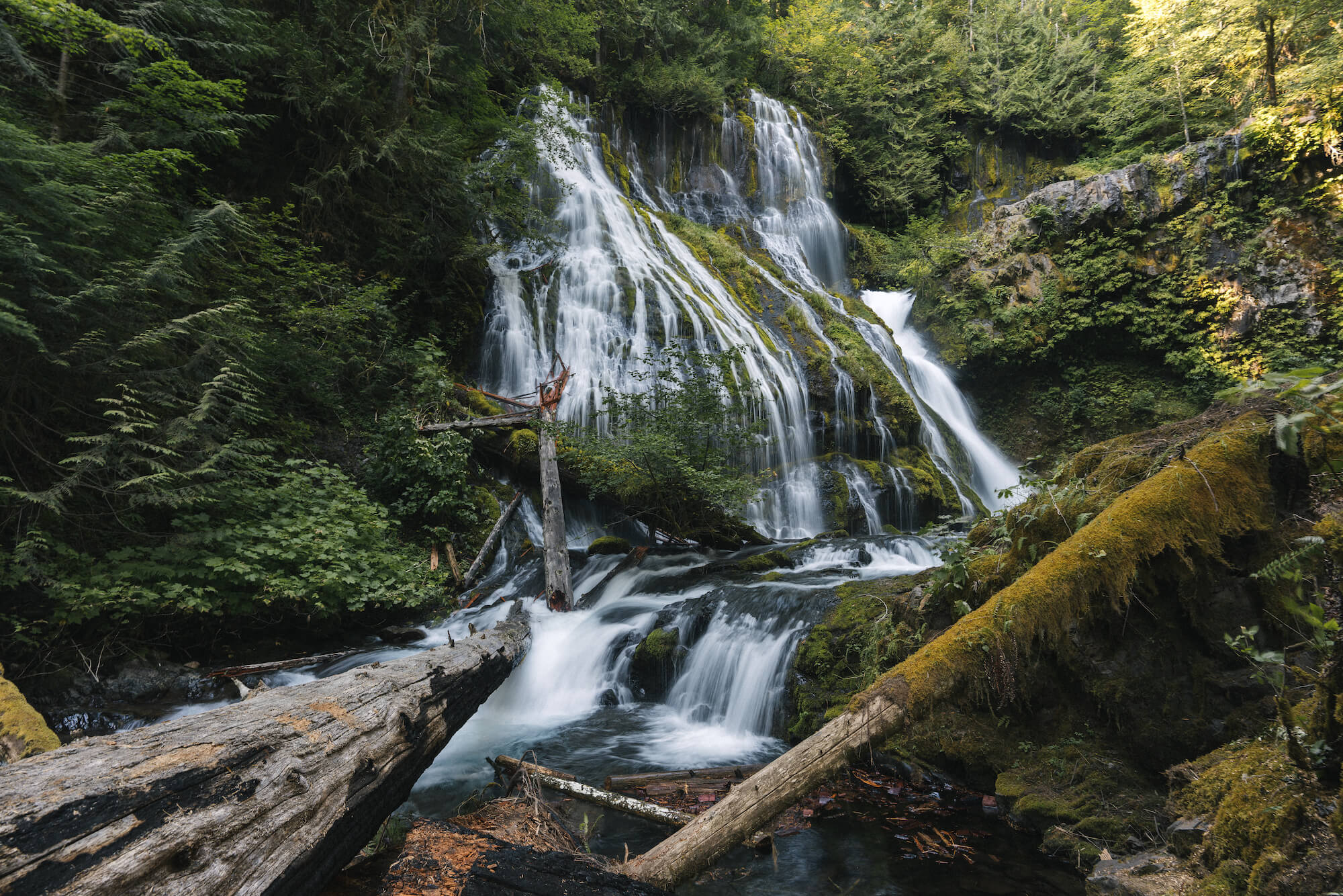 A Forest Paradise at Panther Creek Falls
