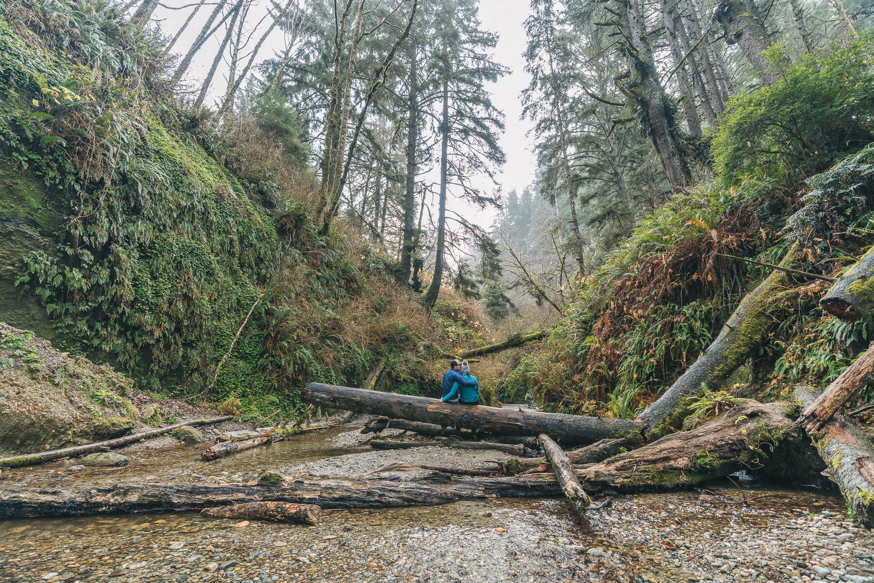 An Otherworldly Hike in Fern Canyon