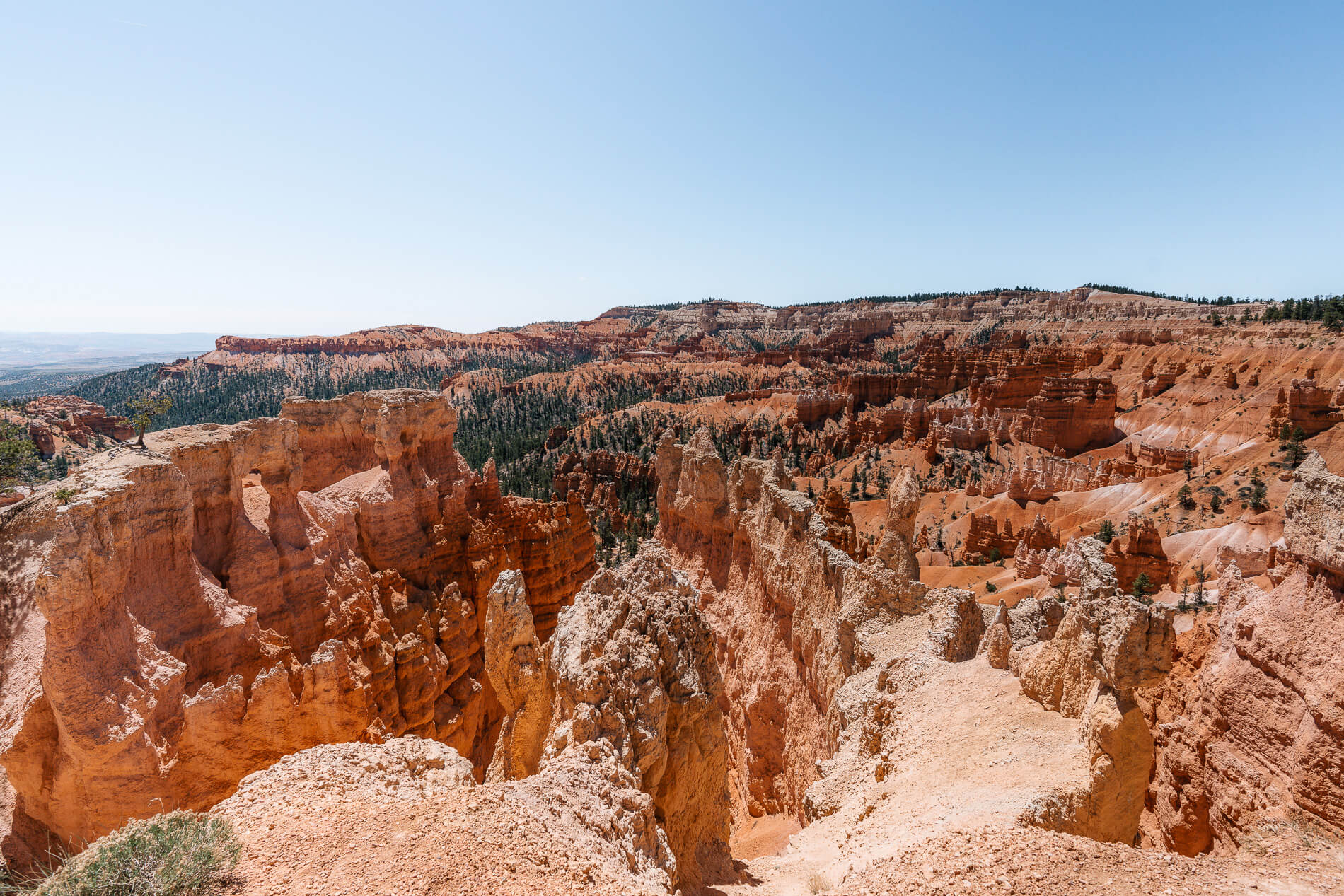 Bryce canyon adventures