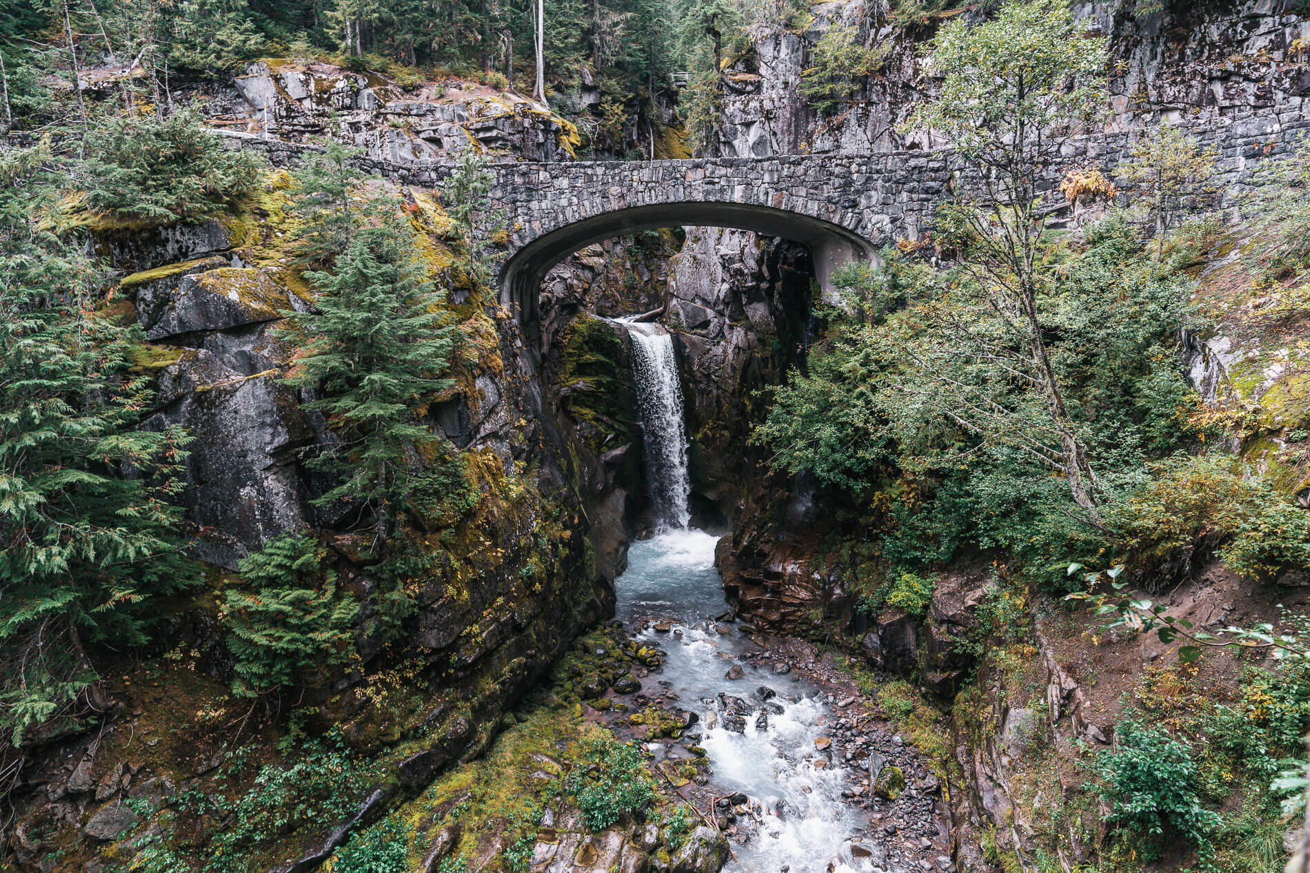 Christine Falls