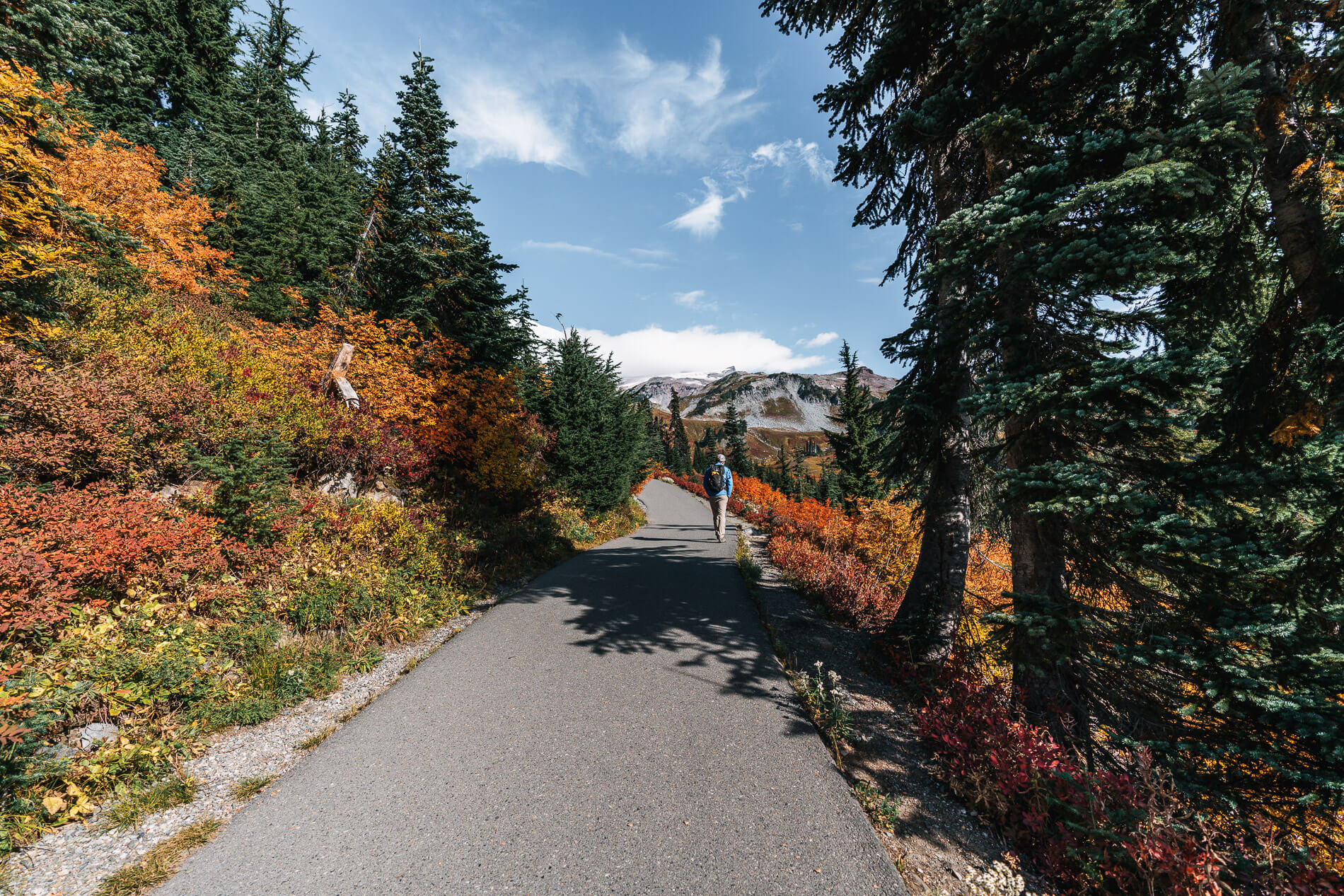 How to Spend Two Fall Days in Mount Rainier National Park