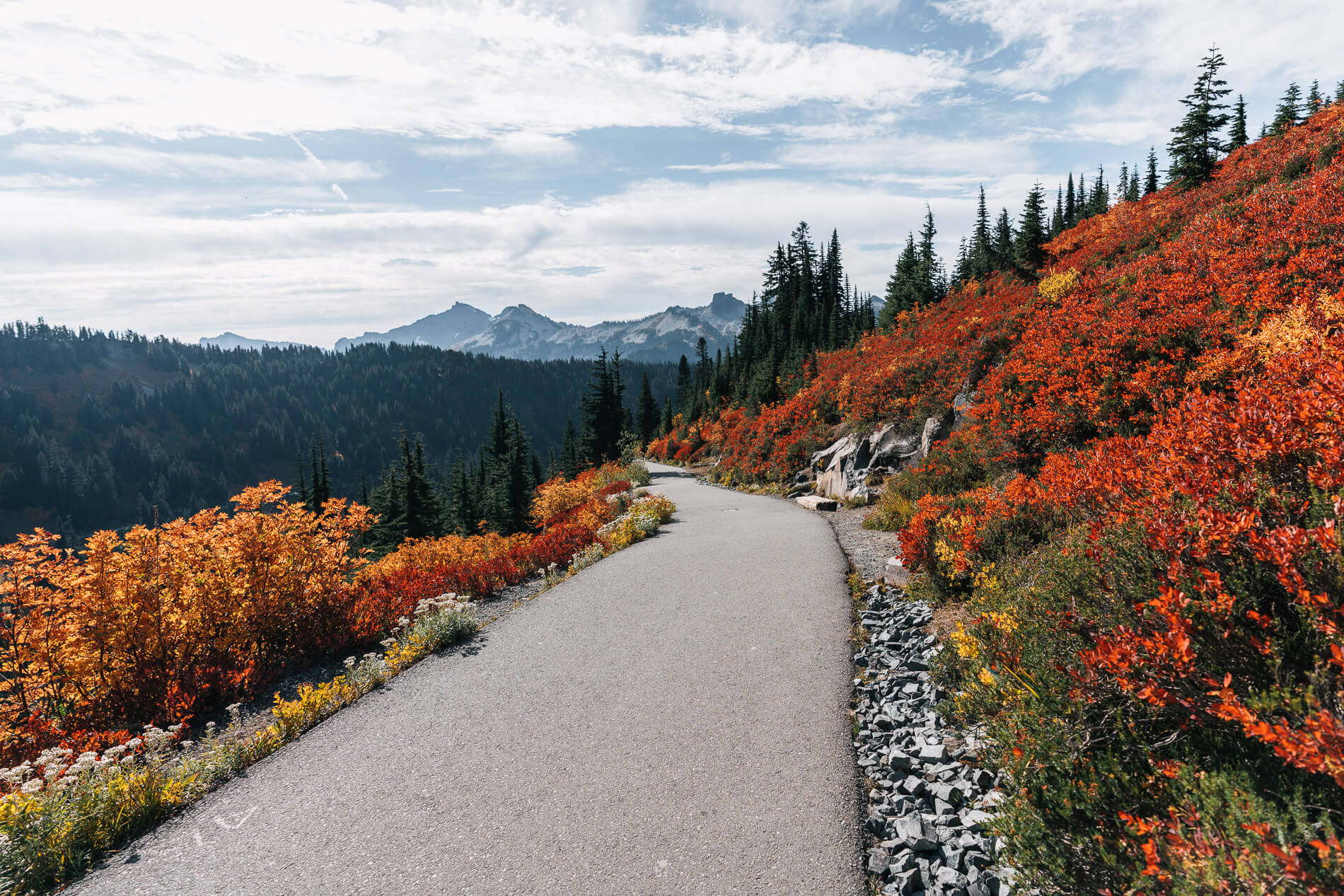 How to Spend Two Fall Days in Mount Rainier National Park