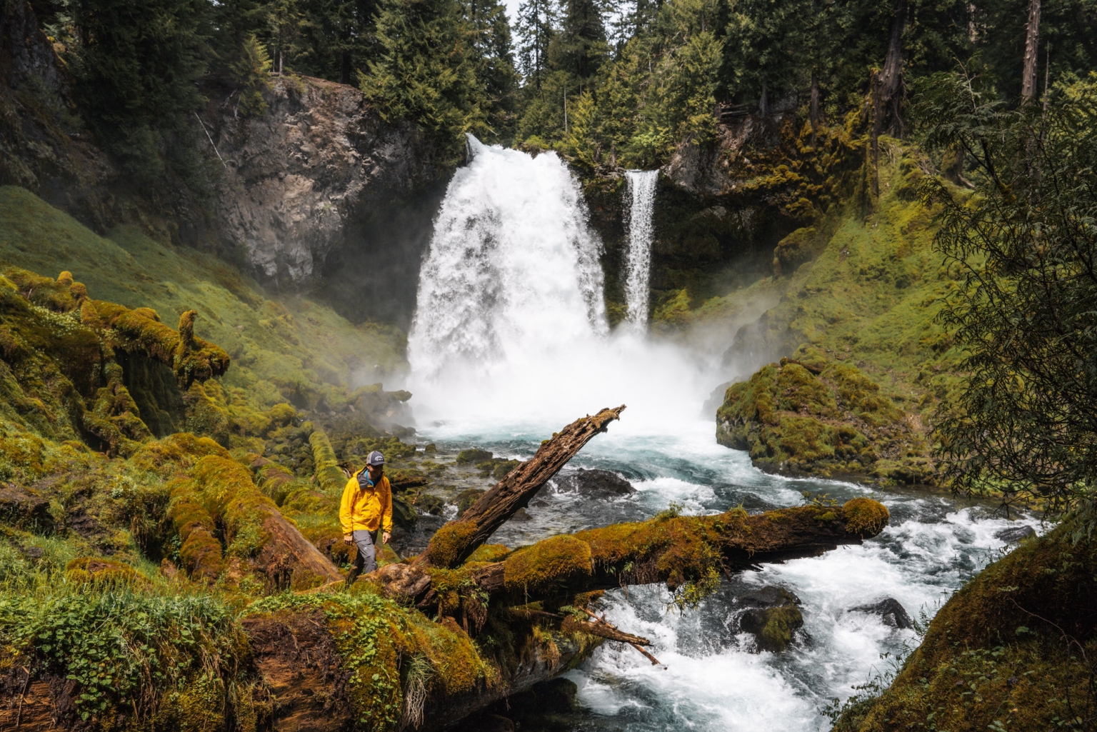 Hiking The Sahalie & Koosah Falls Loop On The McKenzie River | Aspiring ...