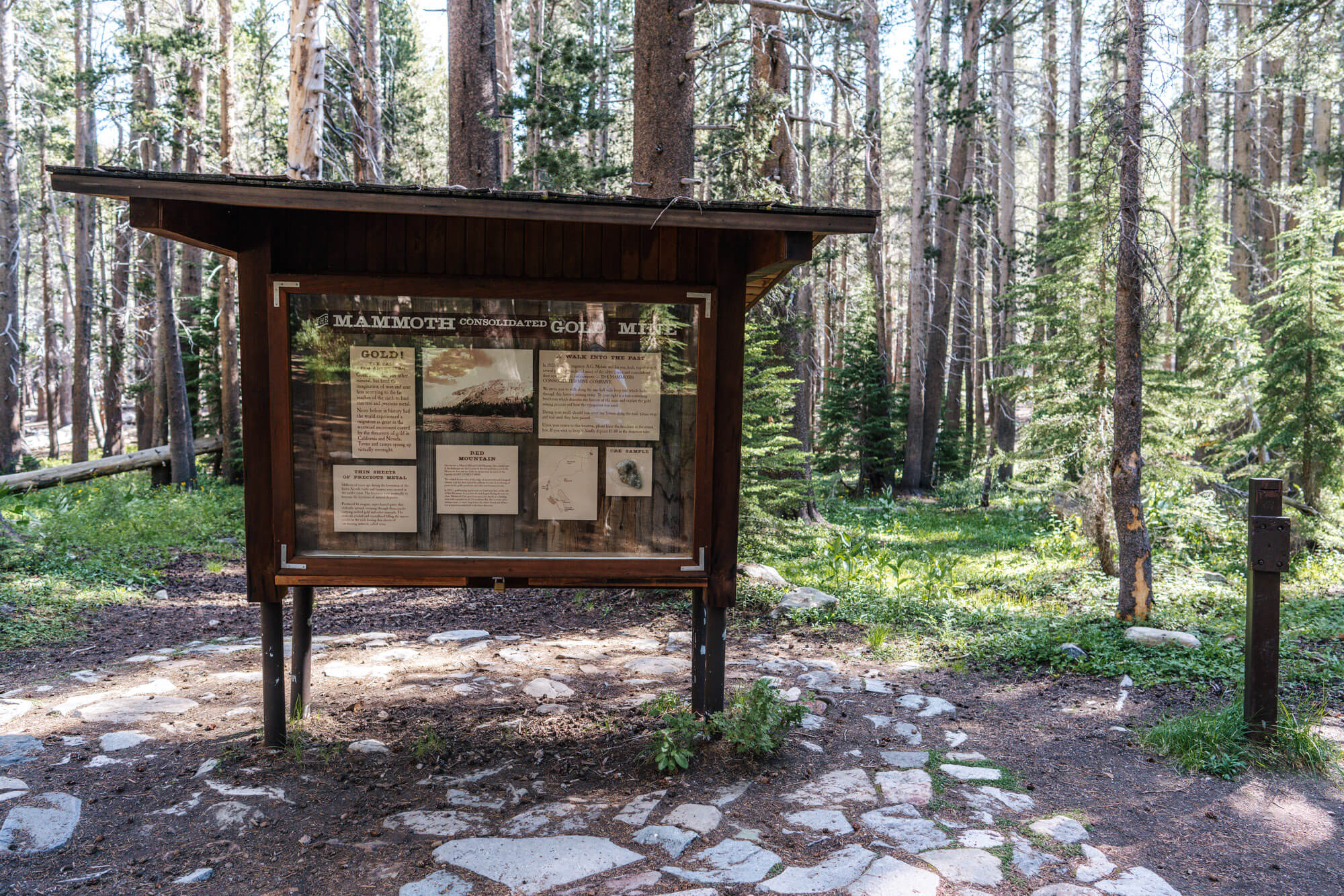 Sign about the Mammoth Consolidated Gold Mine on the Heart Lake trail
