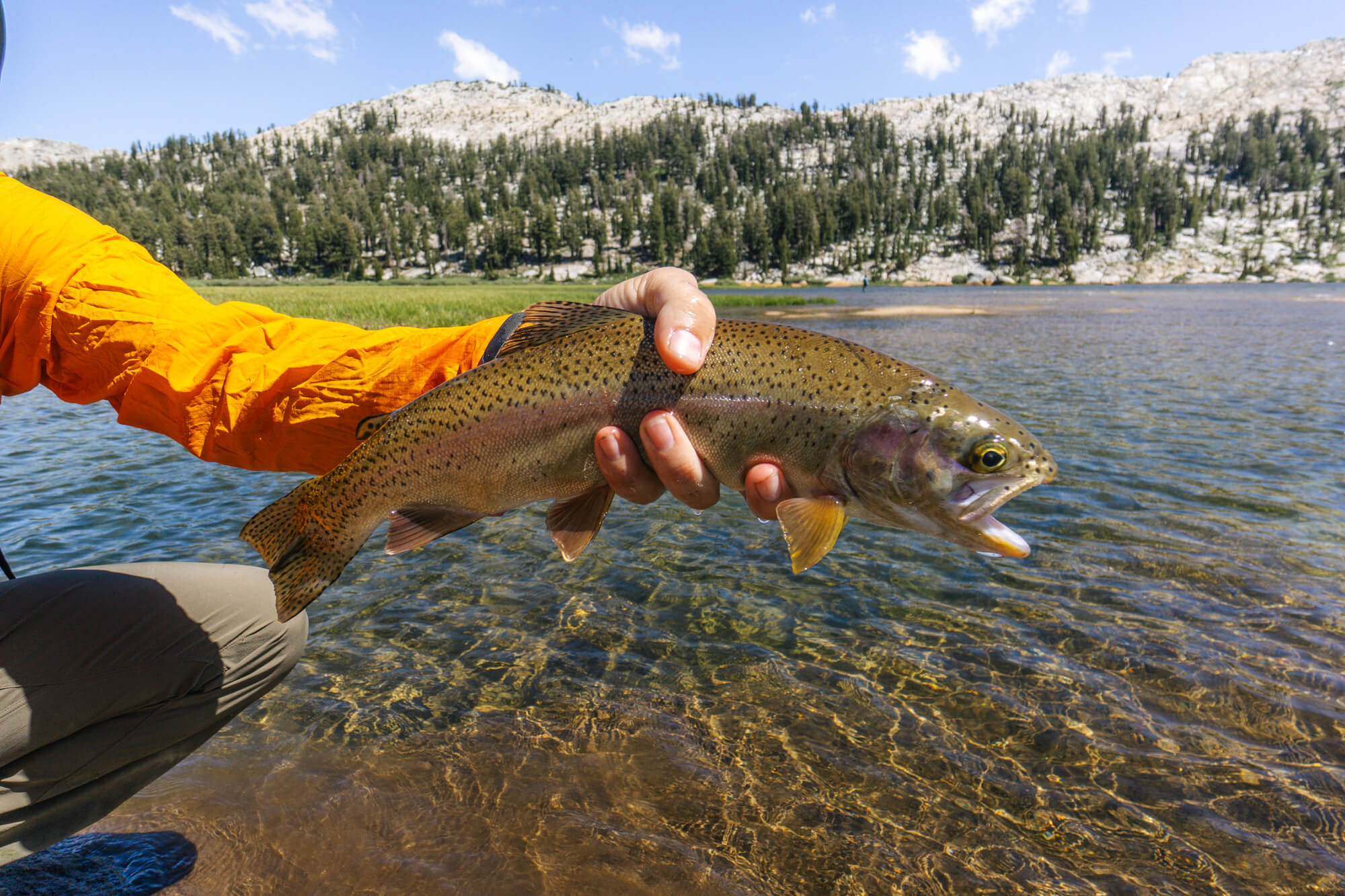 4 days spent fly fishing and backpacking California's High Sierra