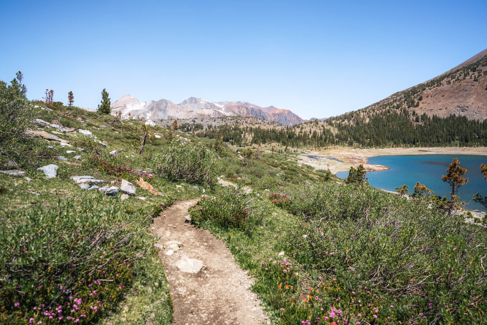 Saddlebag Lake trail turns from rocks to dirt at the end of the lake