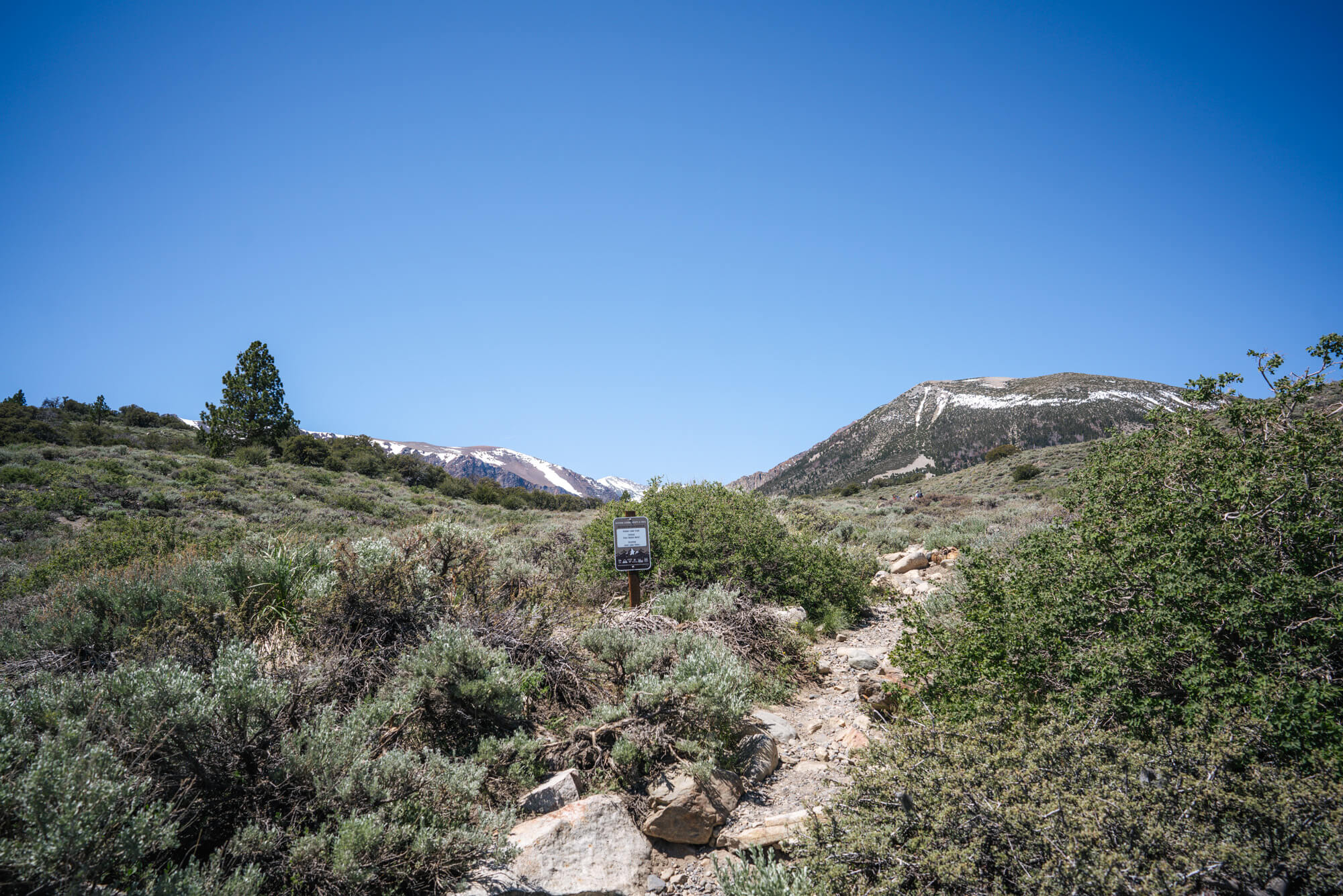 Beginning incline of the Parker Lake trail