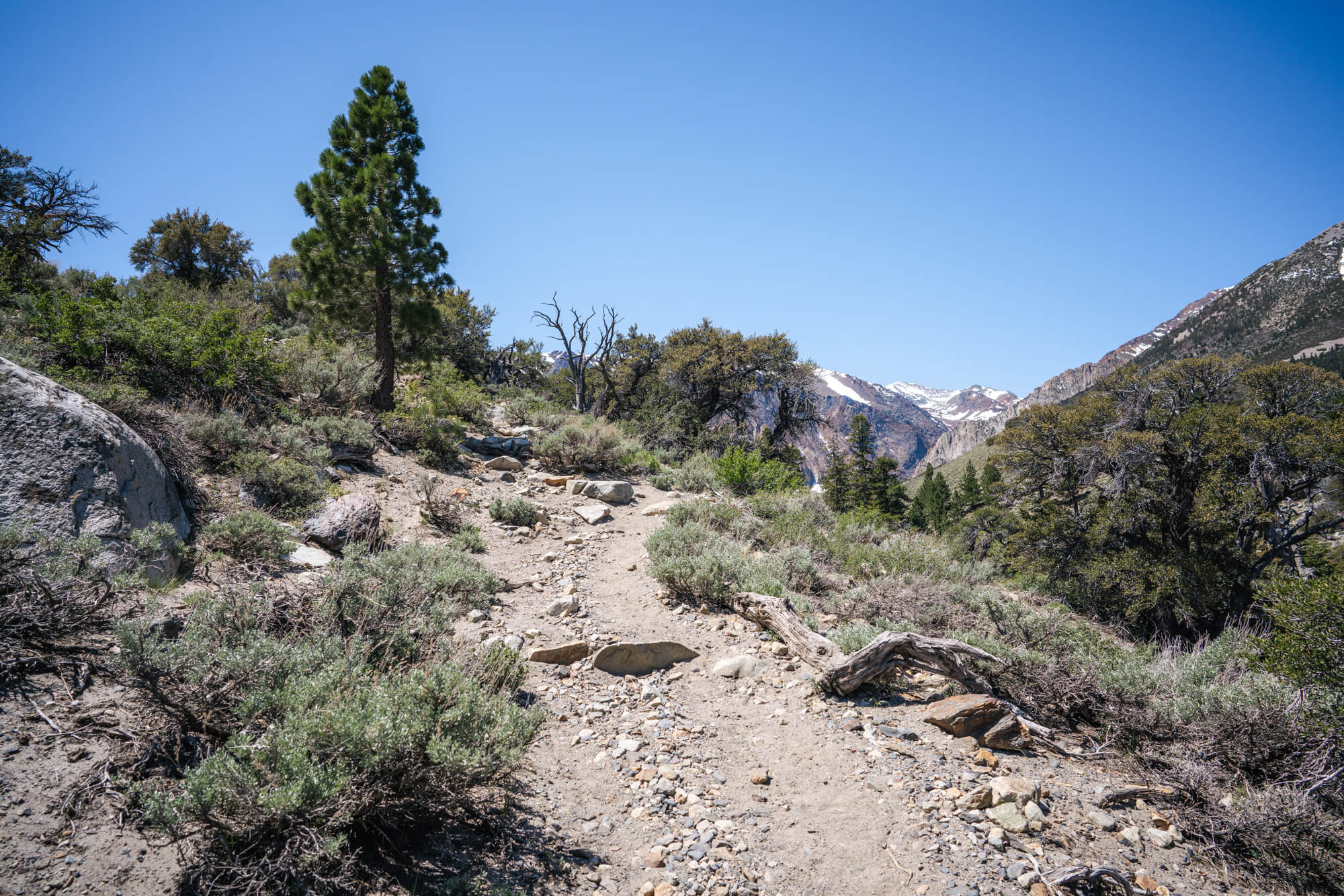 The trail to Parker Lake