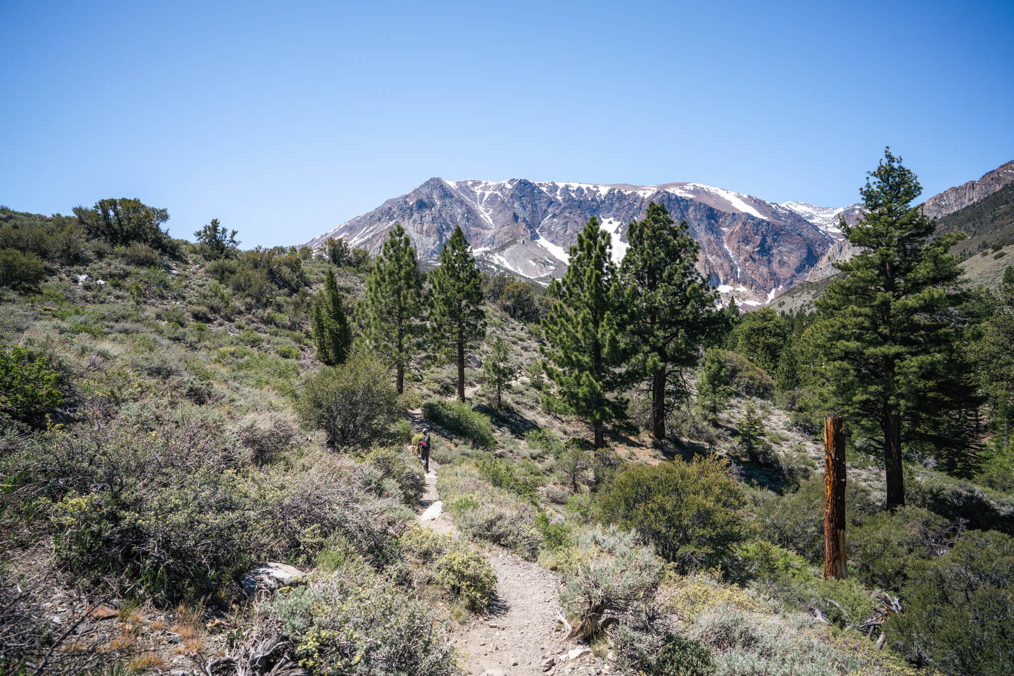 The trail to Parker Lake